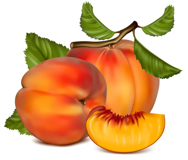 Dojrzałe owoce brzoskwini — Wektor stockowy