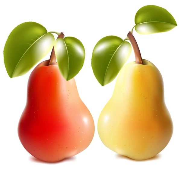 Ripe red and green pears — Stock Vector