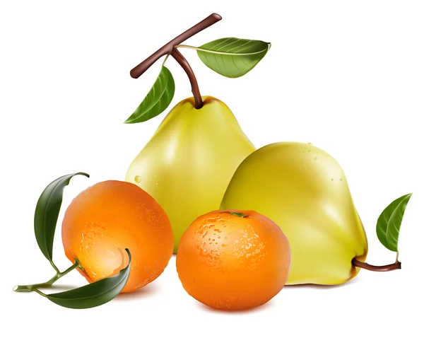 Спелые груши и мандариновые фрукты . — стоковый вектор