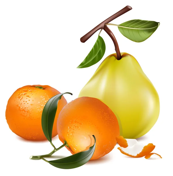 Frutos maduros de pera y mandarina . — Vector de stock