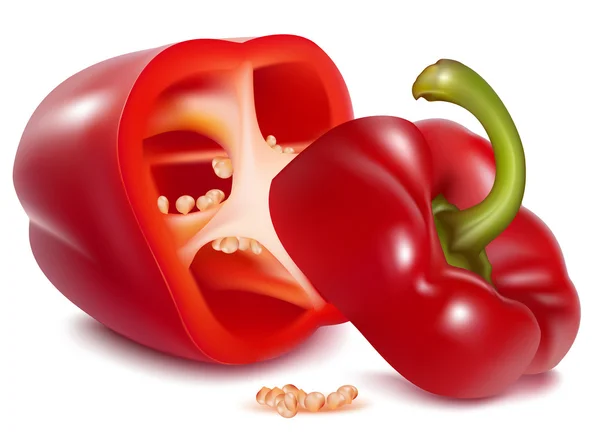 Červená sladká paprika — Stockový vektor