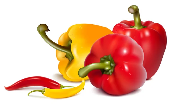 Κίτρινες και κόκκινες πιπεριές με τα καυτά πιπέρια τσίλι. — Διανυσματικό Αρχείο