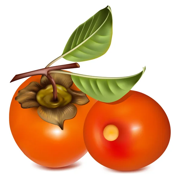 Persimmon with leaves. — Wektor stockowy