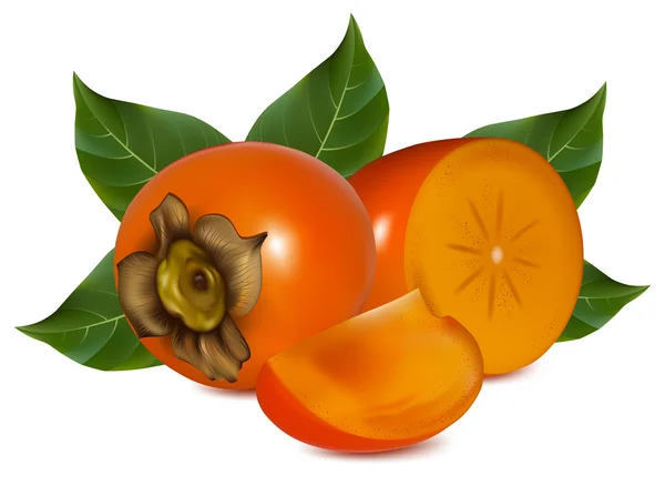 Persimmon with leaves. — Stock Vector
