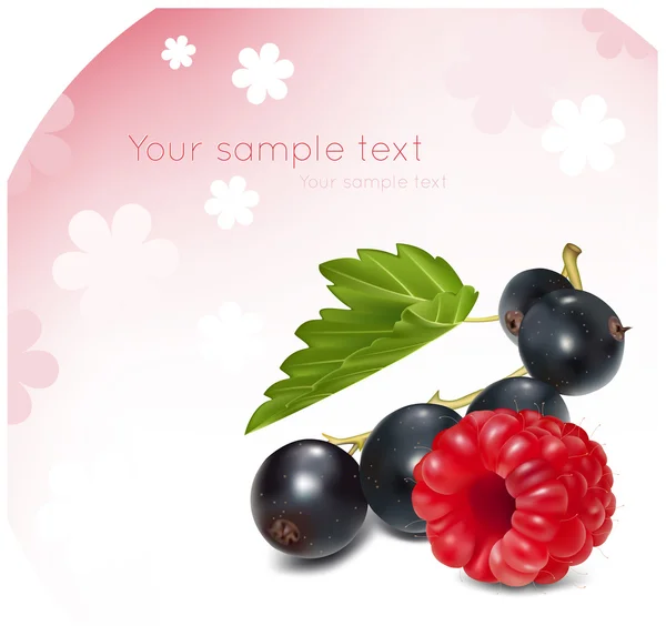 Raspberry-black-currant — Stock Vector