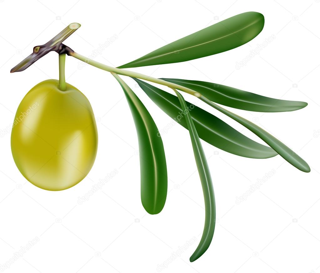 Green olives with leaves.