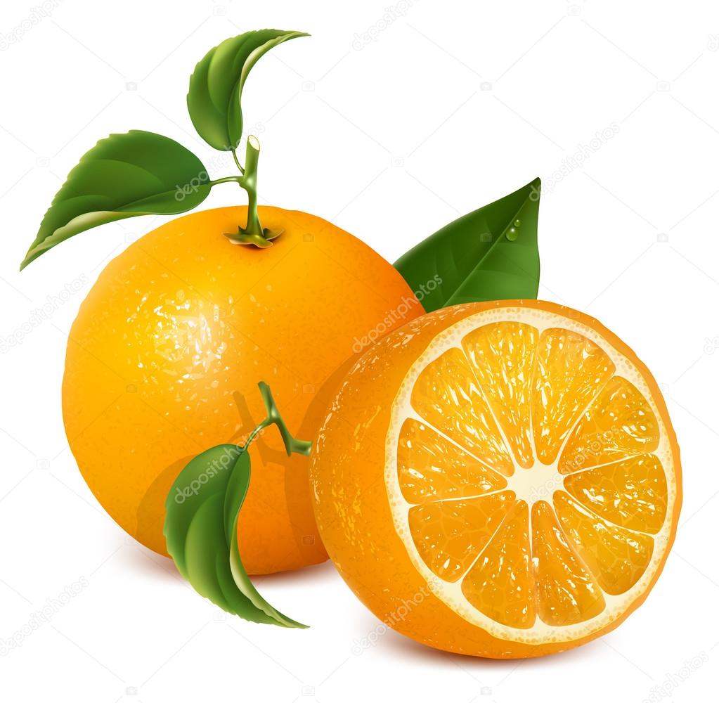 Vector fresh ripe oranges