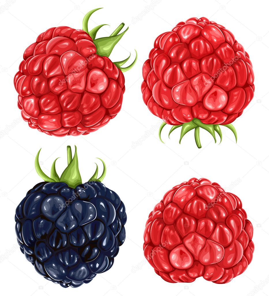 Raspberries & blackberry