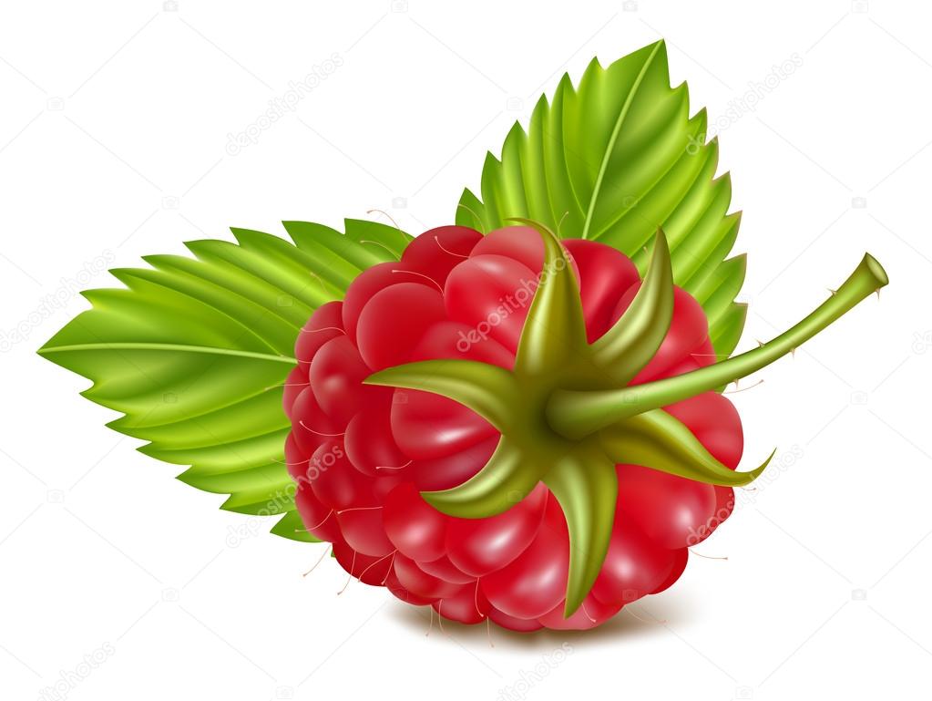 Ripe raspberry.