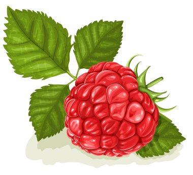 Ahududu yaprakları ile.