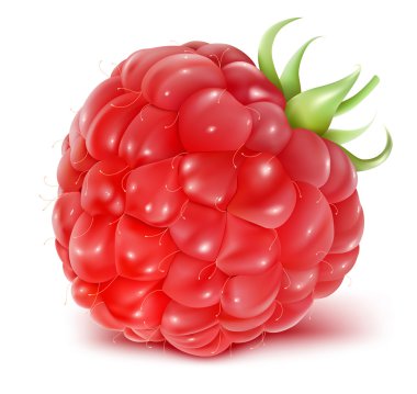 Ripe raspberry. clipart