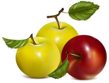 kırmızı ve yeşil elmalar.