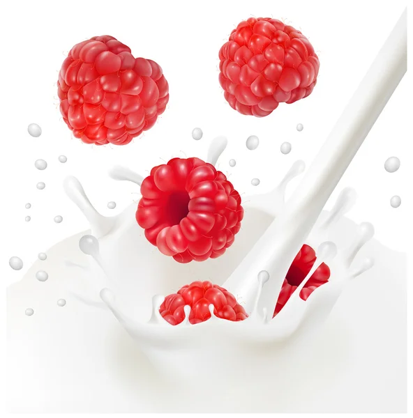 成熟的红树莓 — 图库矢量图片