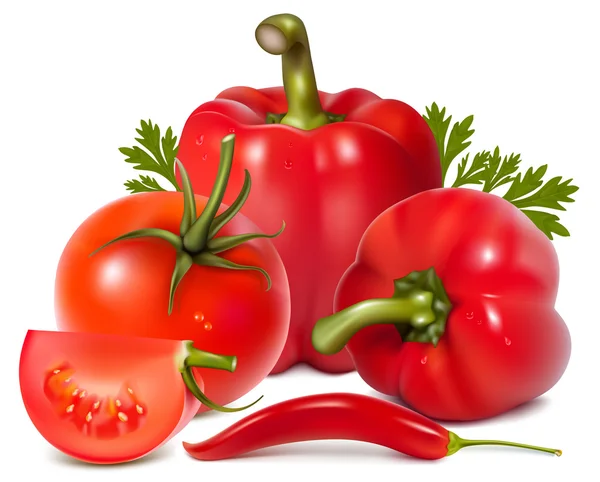 Verduras rojas con perejil . — Vector de stock