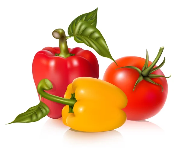 Tomato and peppers. — Stock Vector