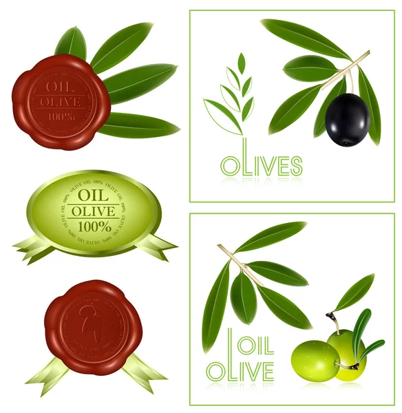 Svarta och gröna oliver. — Stock vektor