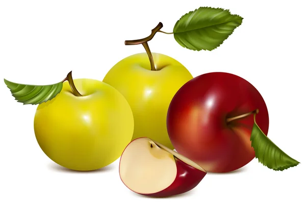 赤と緑のリンゴ. — ストックベクタ