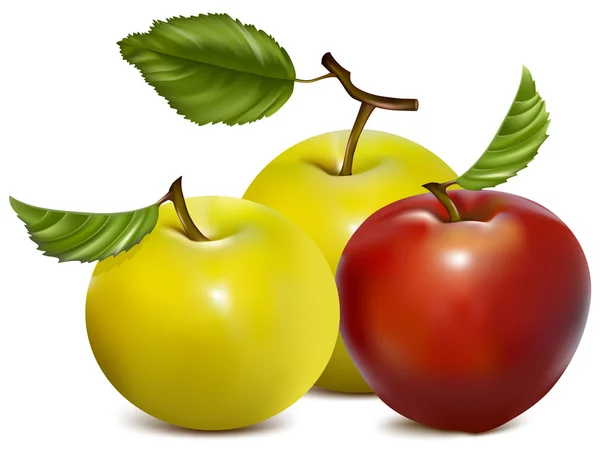 Manzanas rojas y verdes. — Vector de stock