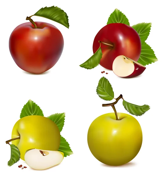 Kırmızı ve yeşil elmalar. — Stok Vektör