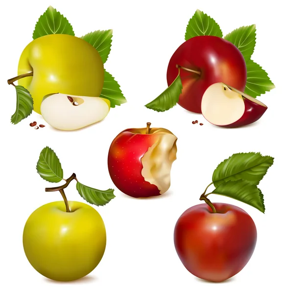 Manzanas rojas y verdes. — Archivo Imágenes Vectoriales