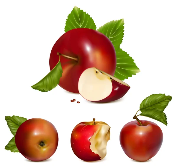 Set of red apples. — Stock Vector