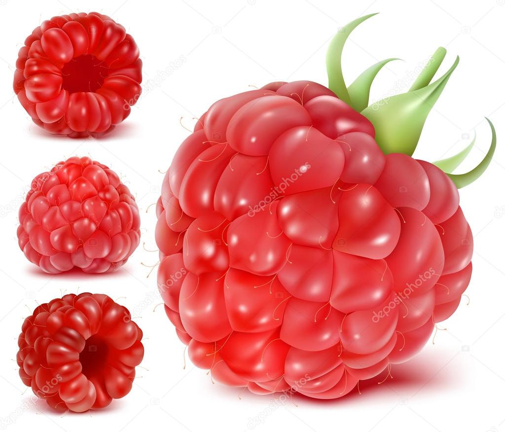 Ripe raspberry set.