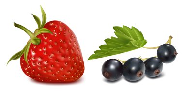 çilek ve siyah kuş üzümü