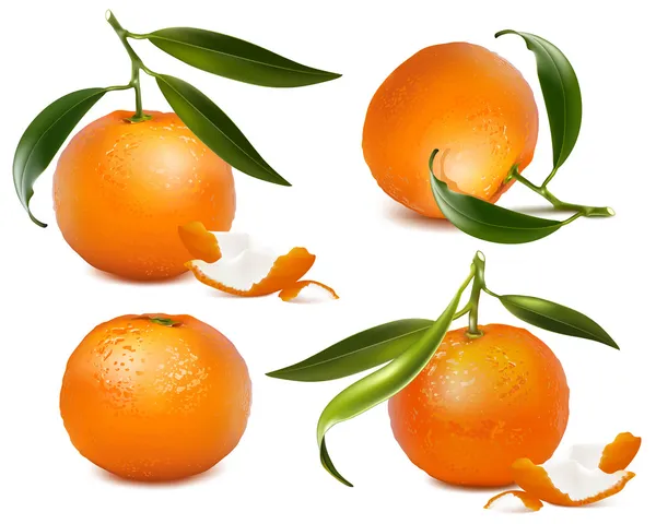 Mandarin, levelekkel. — Stock Vector