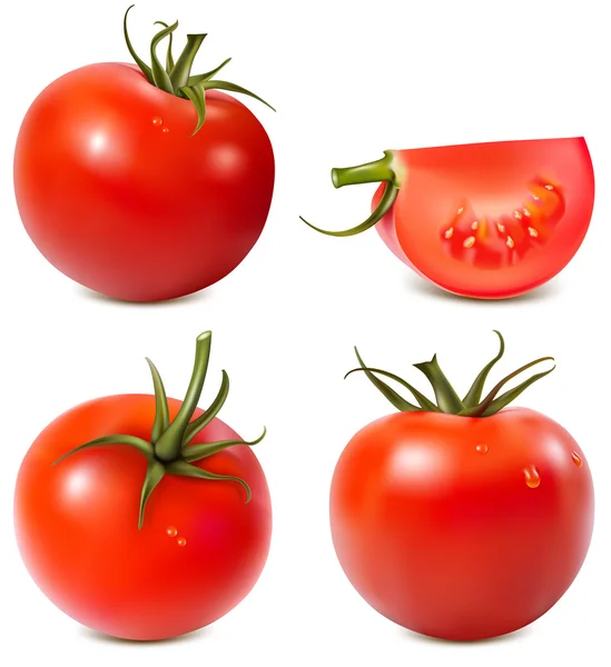 Tomaten. — Stockvector