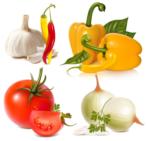 Set of vegetables — Stock Vector