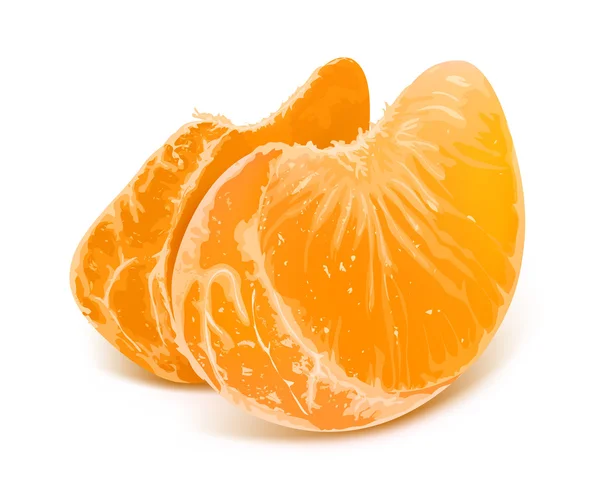 Illustratie van tangerine segmenten — Stockvector