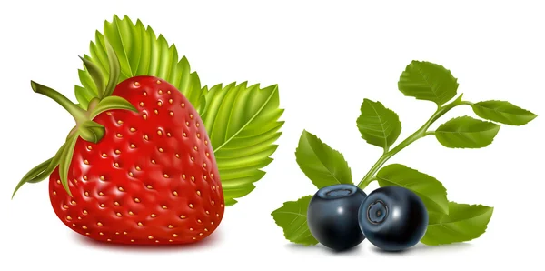 Blueberry and strawberry — Stock Vector