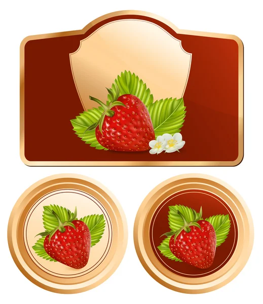 Diseño de tarro de mermelada de embalaje — Archivo Imágenes Vectoriales