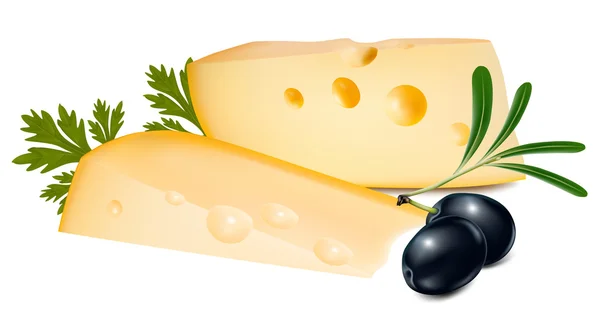 Сыр с черными оливками — стоковый вектор
