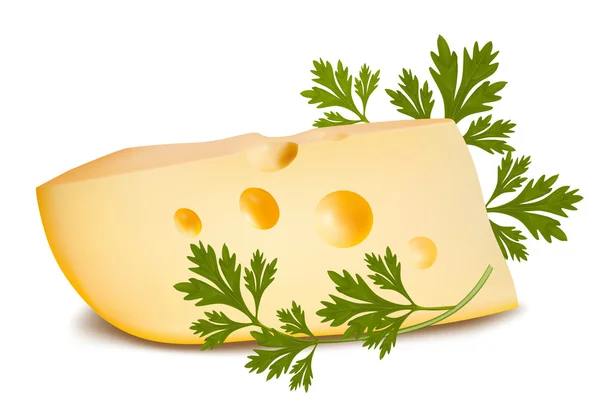 Cheese with parsley. — Stock Vector