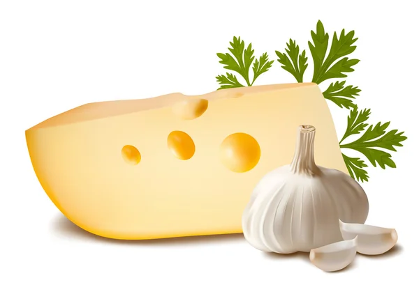 Sýr s česnekem. — Stockový vektor