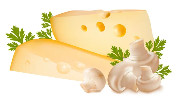 Sýr s houbami. — Stockový vektor