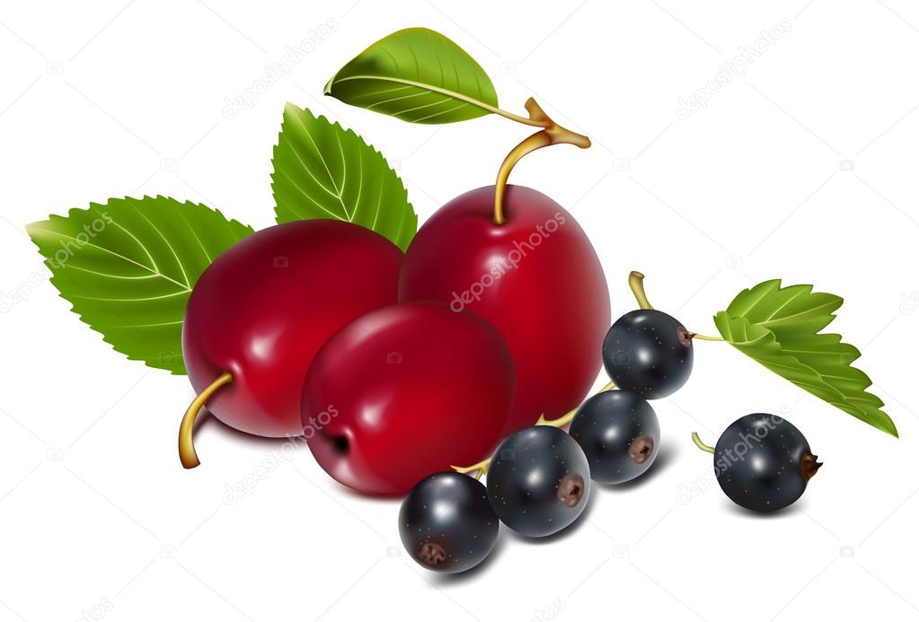 Ripe plums with black currants.