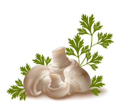 Olgun mantar champignon
