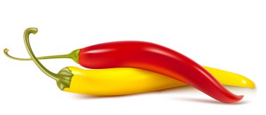 Hot chili peppers renkli vektör.