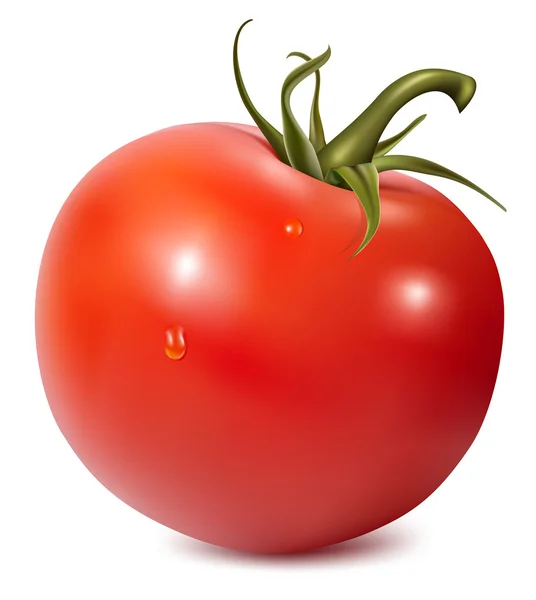 Pomidor z kropli wody. — Wektor stockowy