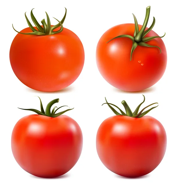 Tomate — Image vectorielle
