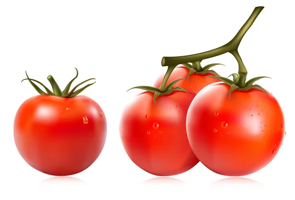 Tomate avec gouttes d'eau . — Image vectorielle