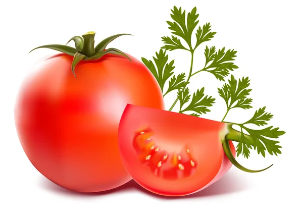 Tomates frescos maduros — Vector de stock