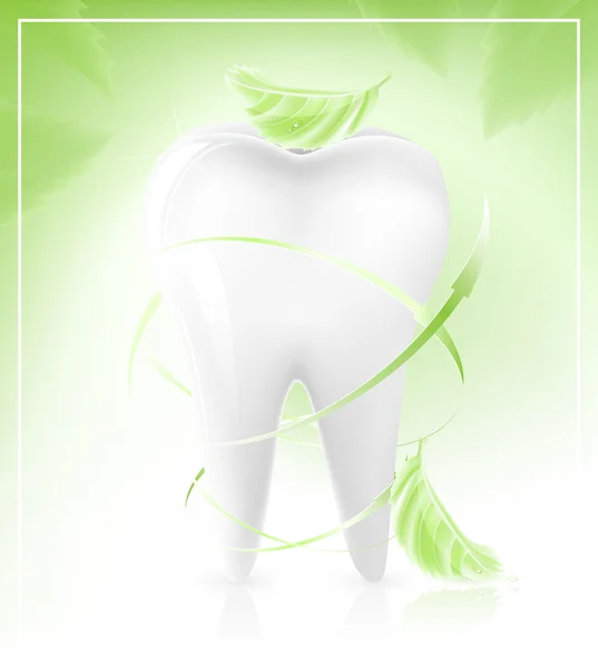 Zahn mit hellgrünen Blättern-Pfeilen. — Stockvektor