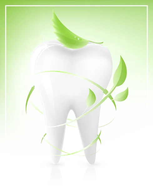 Tooth with light green leaves-arrows. — Stock Vector