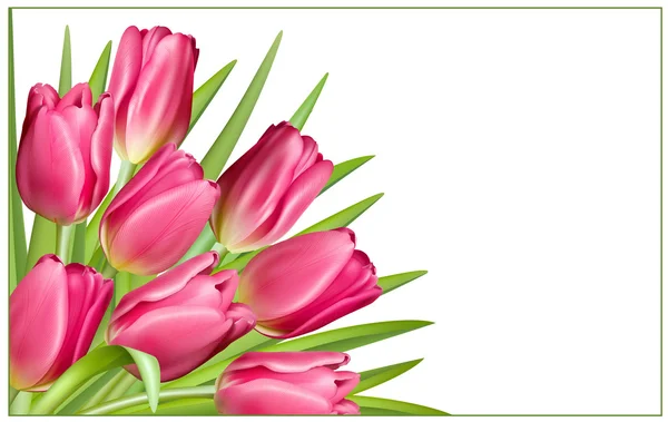 Marco de regalo con tulipanes rosados — Vector de stock