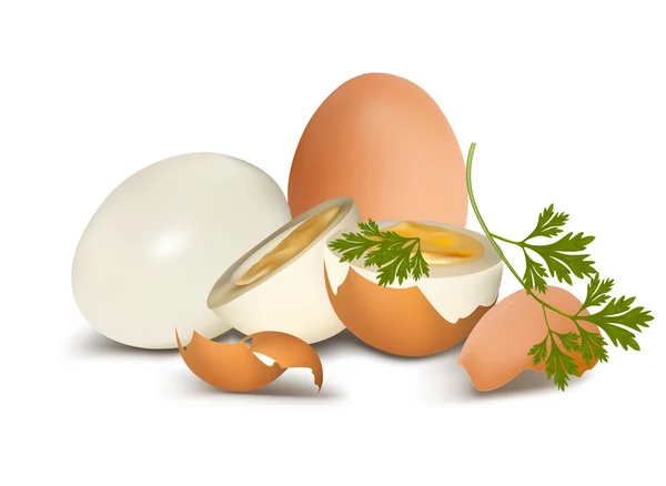 Brown boiled egg — Stock Vector