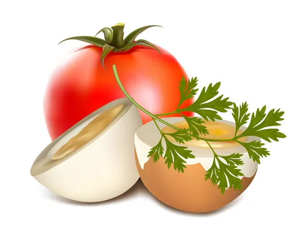 Boiled egg and tomato — Stock Vector