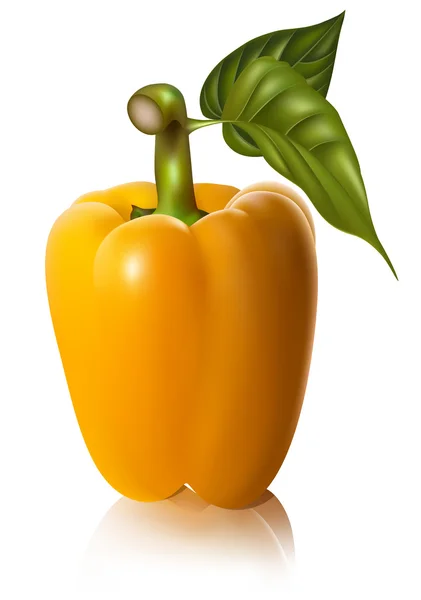 Pimienta dulce amarilla — Vector de stock